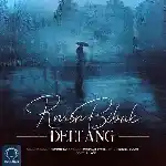 دانلود آهنگ دلتنگ از رامین بی باک